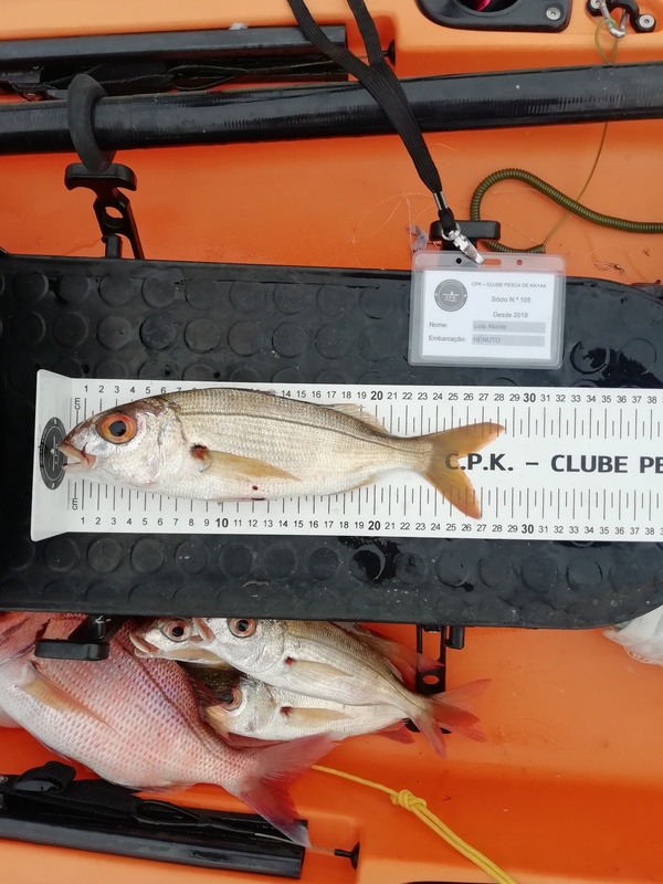 Fish Measure Picture